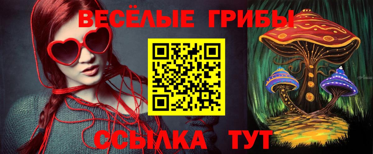Псилоцибиновые грибы ЛСД Ревда